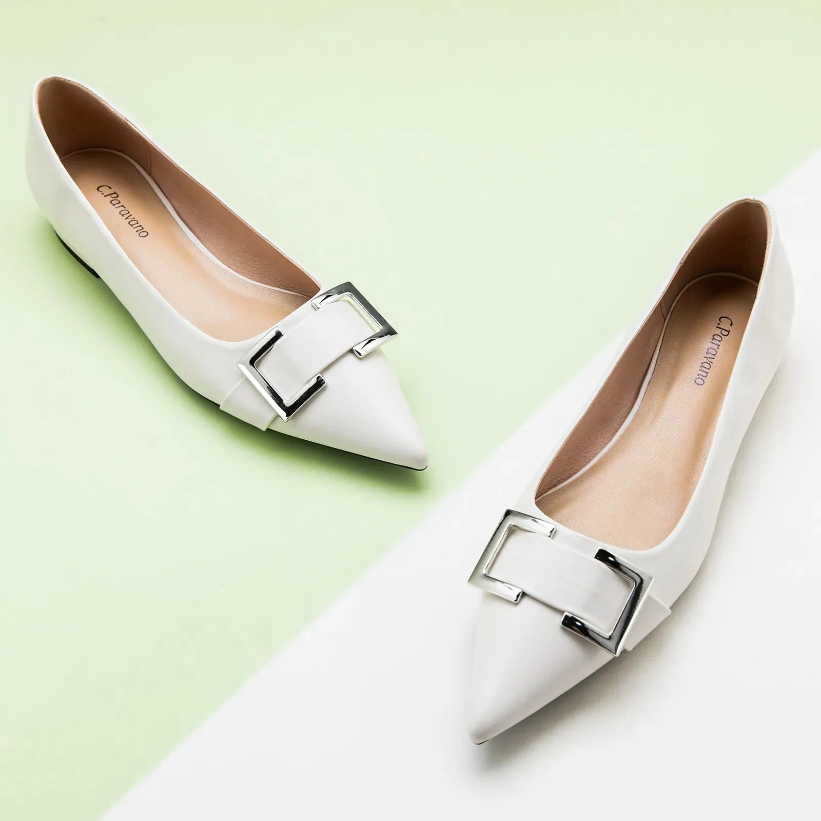 Metal Buckle Pointed Toe Flats (Aida)