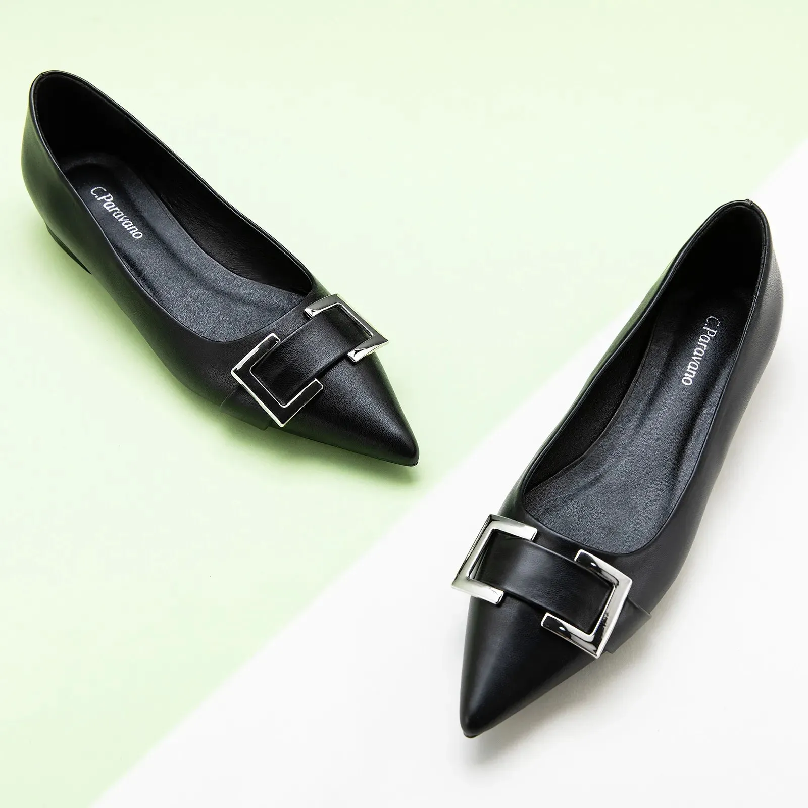 Metal Buckle Pointed Toe Flats (Aida)