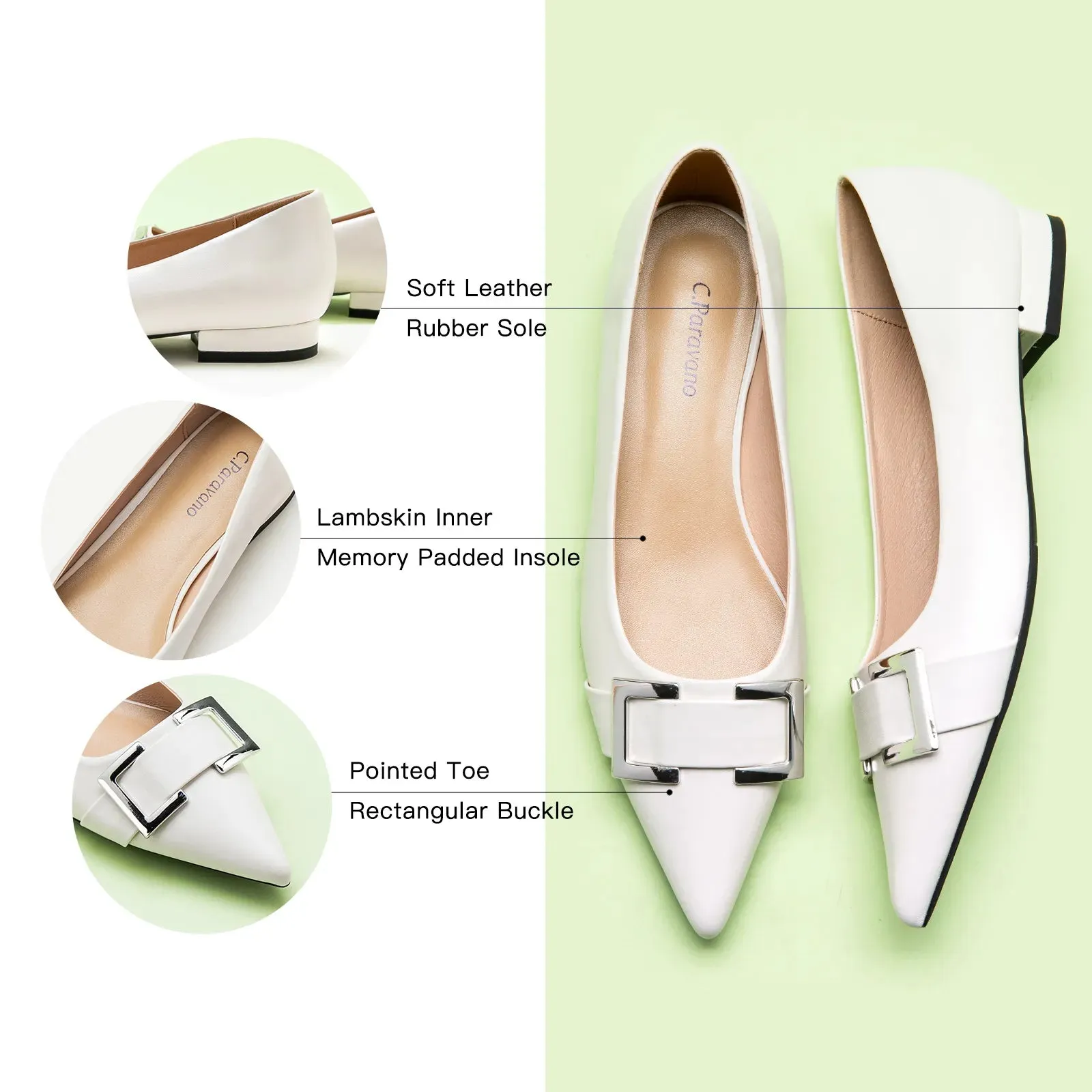 Metal Buckle Pointed Toe Flats (Aida)