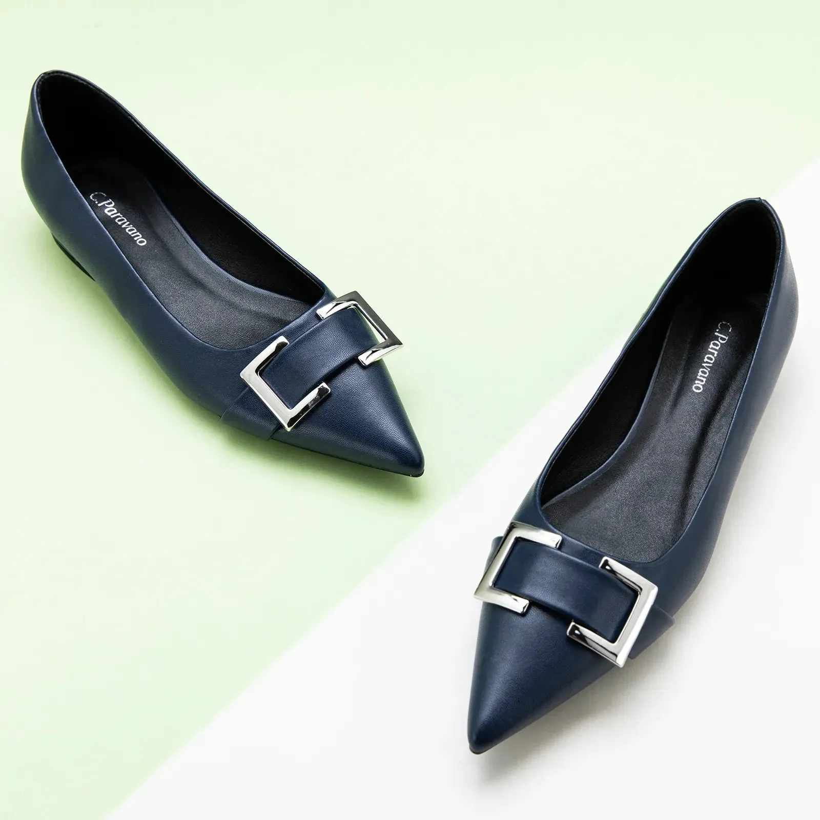 Metal Buckle Pointed Toe Flats (Aida)