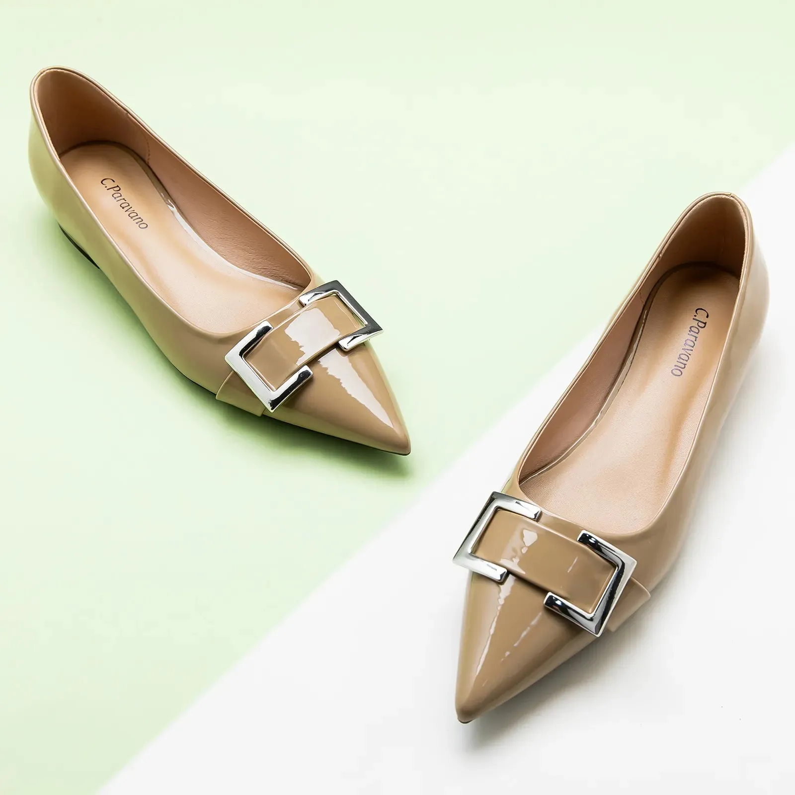 Metal Buckle Pointed Toe Flats (Aida)