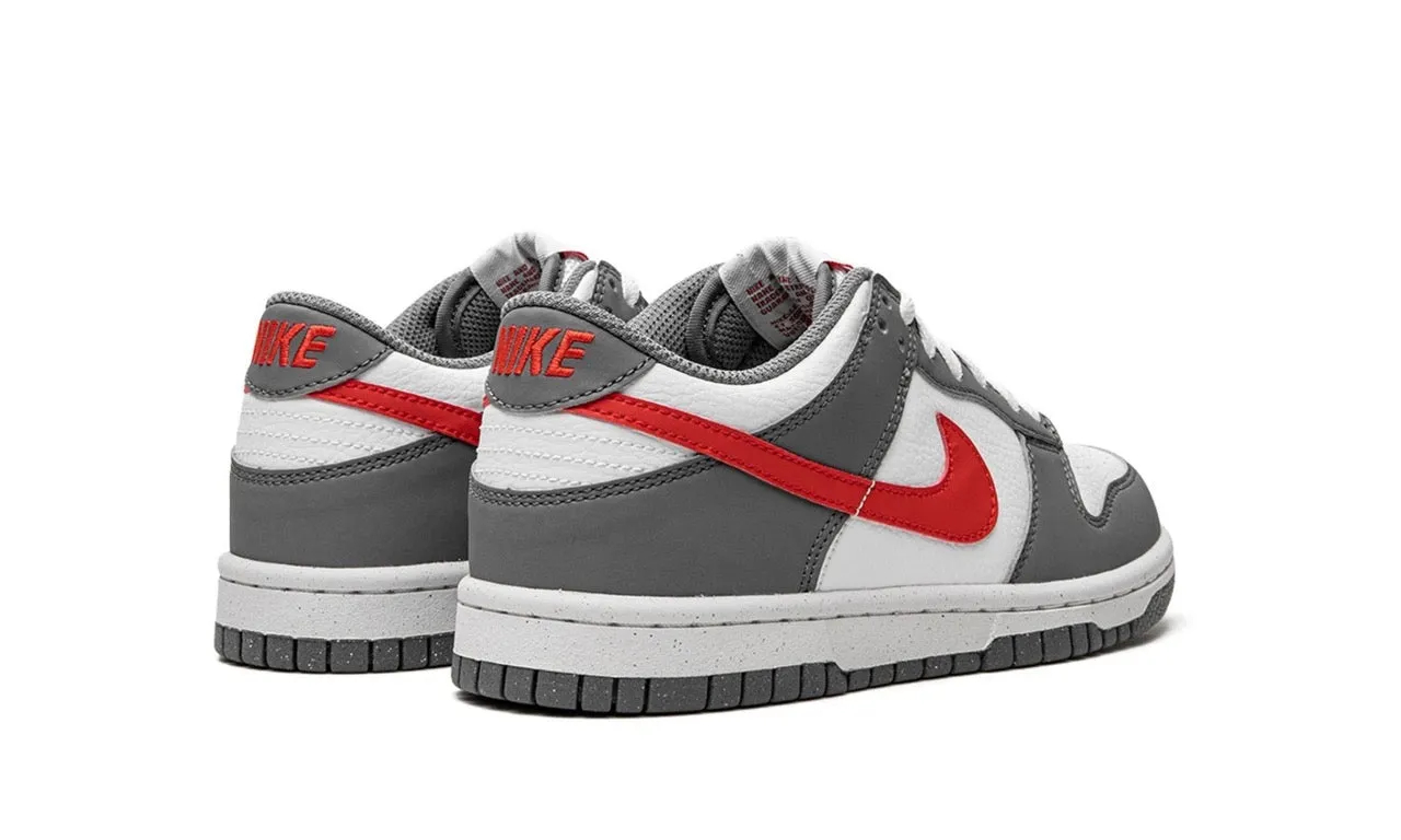 NIKE DUNK LOW NEXT NATURE SMOKE GREY (GS)