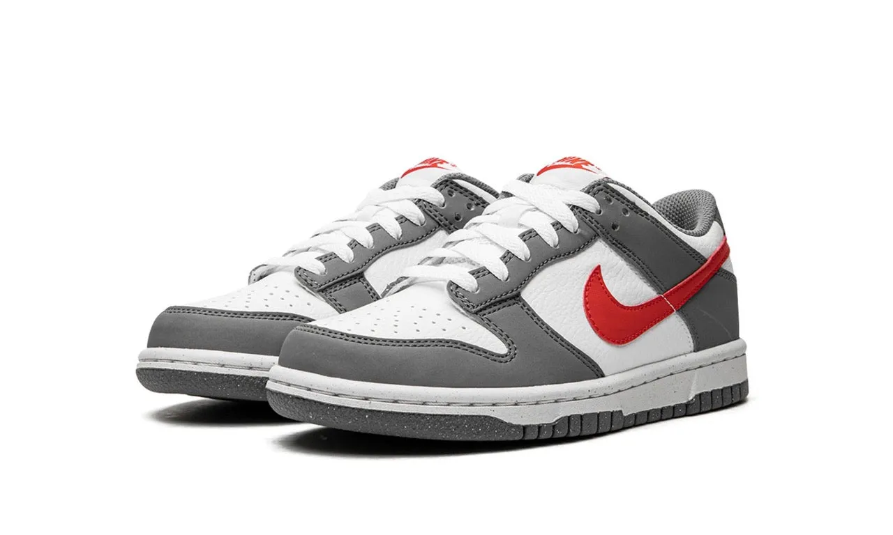 NIKE DUNK LOW NEXT NATURE SMOKE GREY (GS)