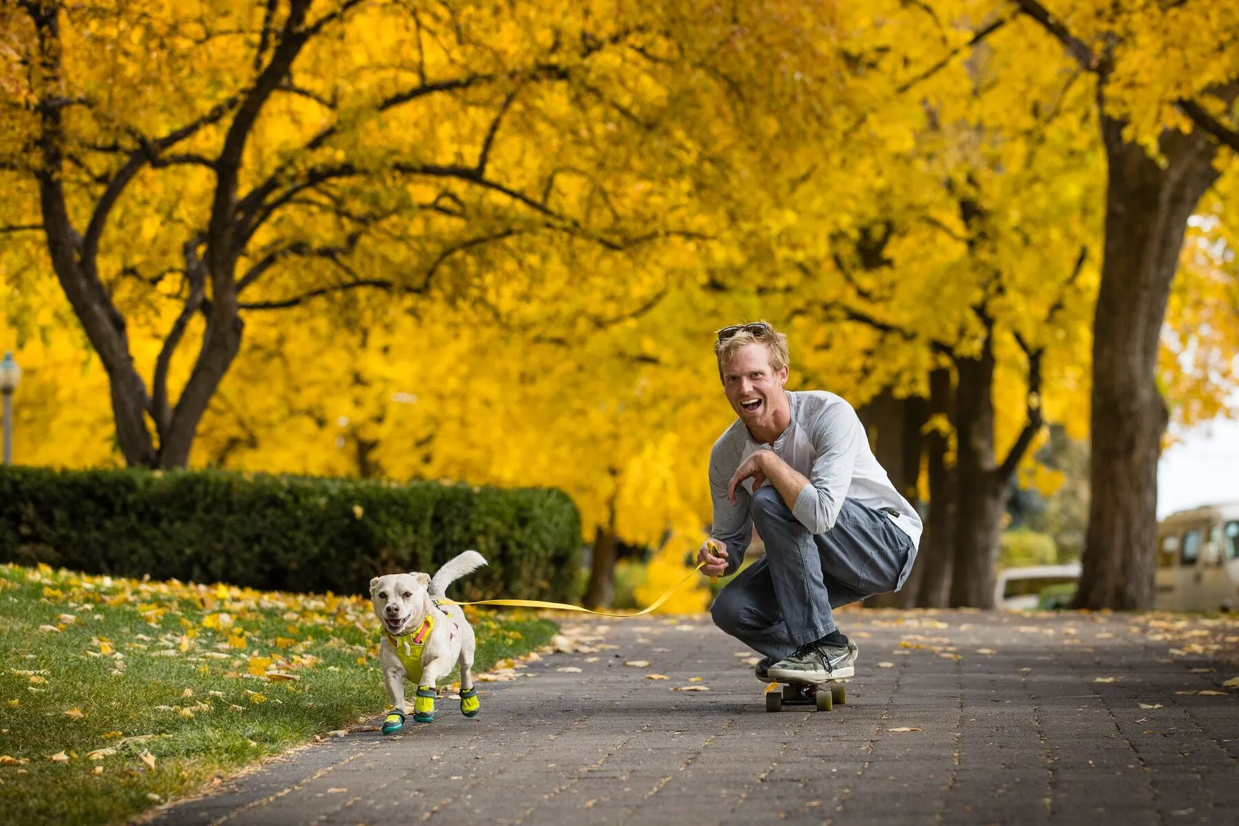 Ruffwear Dog boots: Grip Trex PAIR