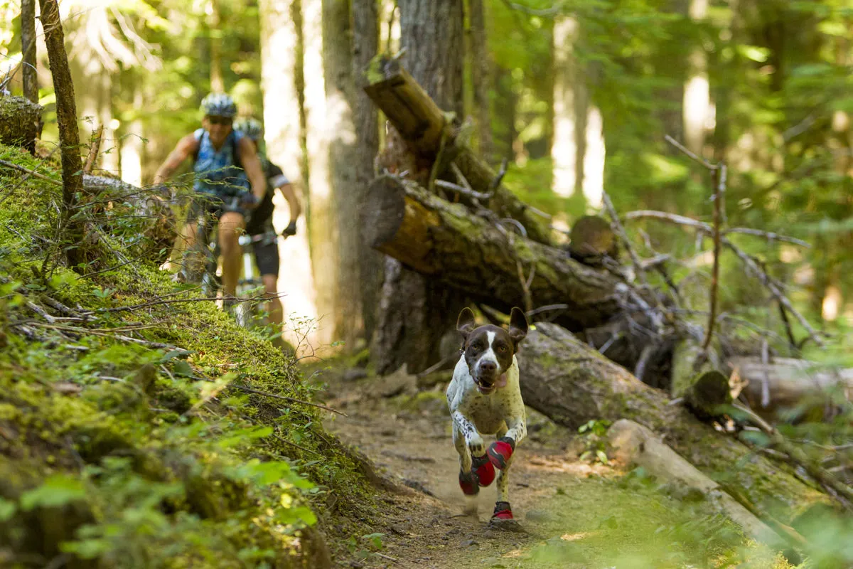 Ruffwear Dog boots: Grip Trex PAIR