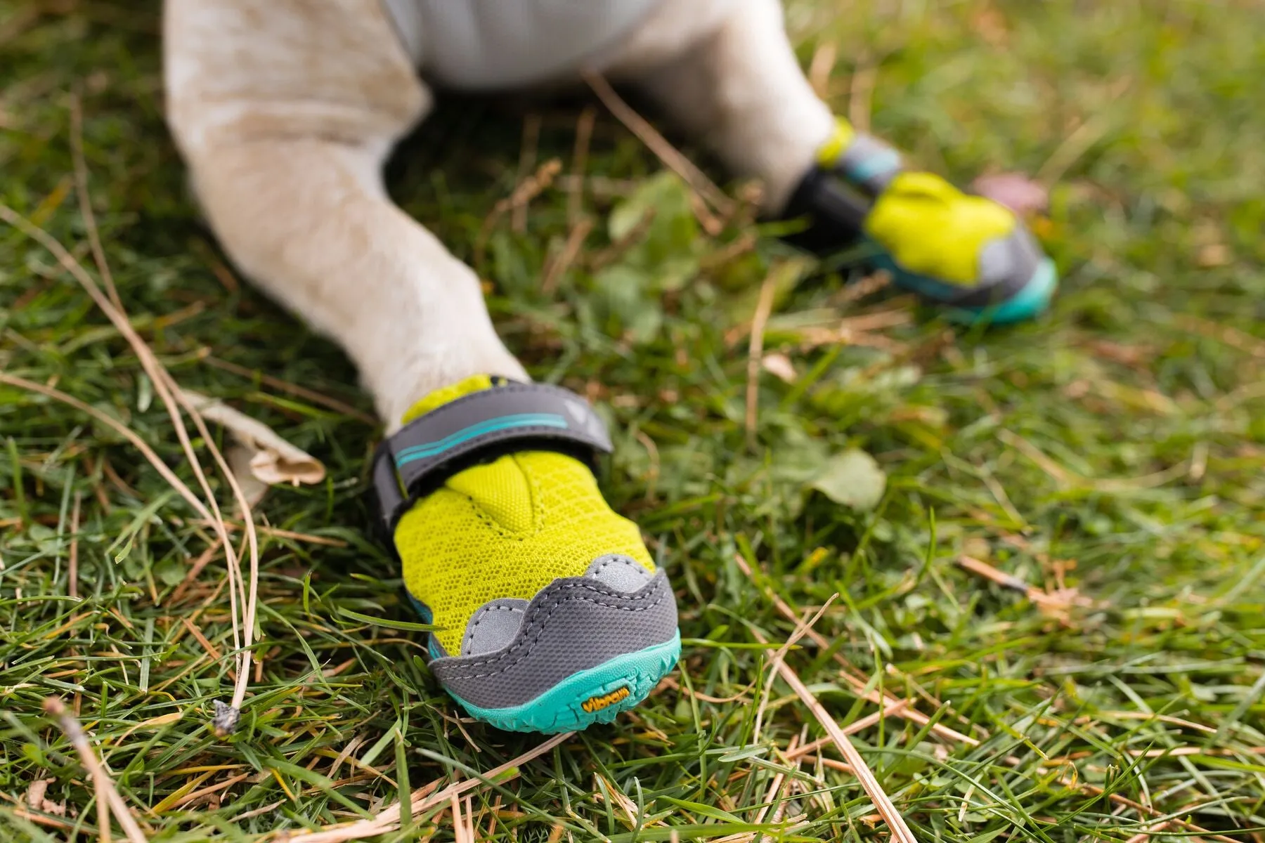 Ruffwear Dog boots: Grip Trex PAIR