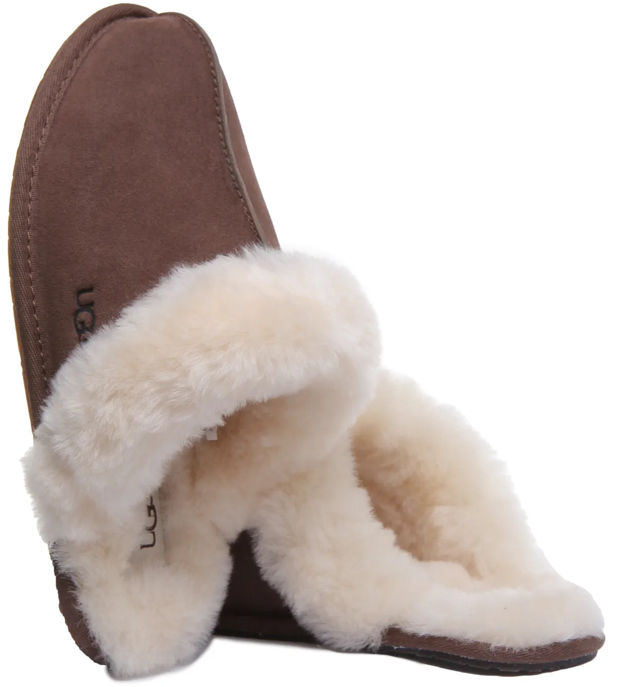 Ugg Australia Scuffette 2 In Espresso For Women